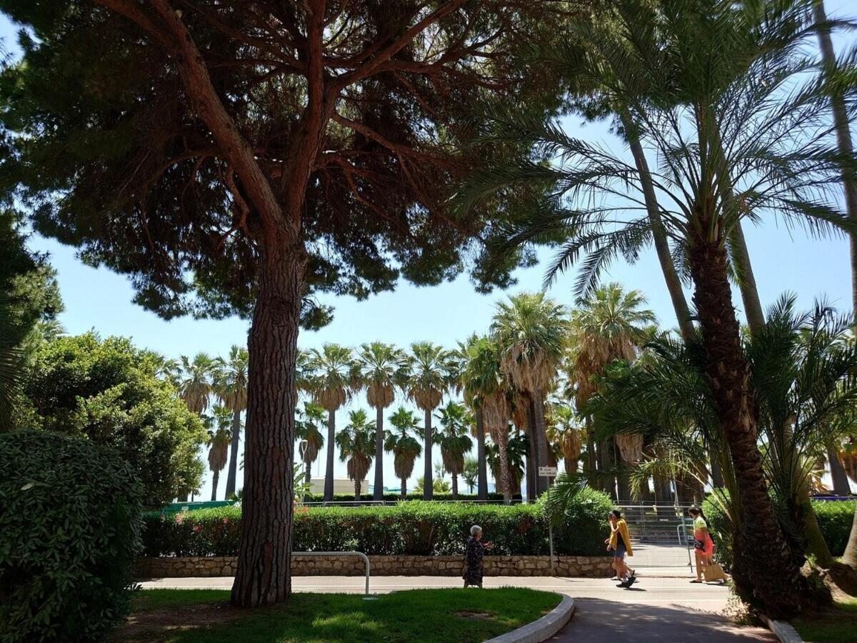 Sunrise & Sunset Palm Beach Croisette Cannes Eksteriør bilde